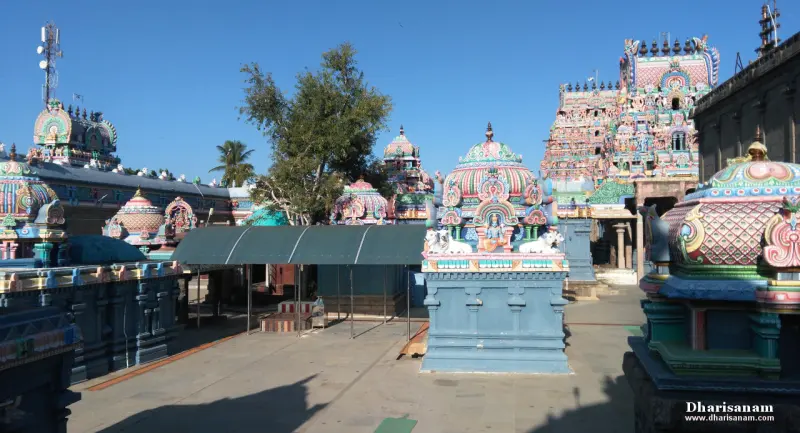 Painted shrine roofs and towers seen across a sunlit stone courtyard.