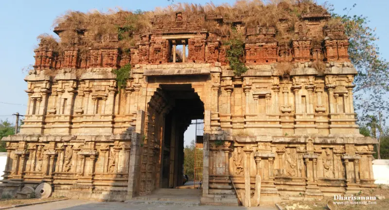 Weathered stone gateway tower with plants growing on top and a dark arched entrance