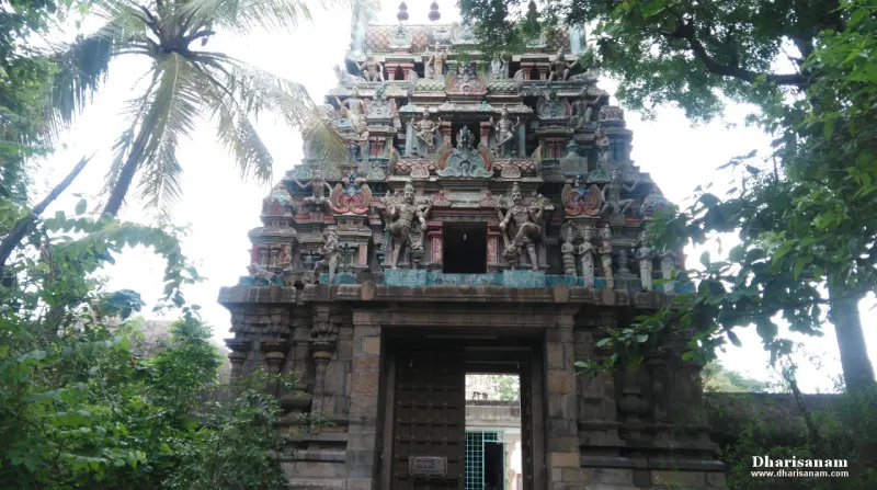 The gopuram with its stucco figures above a stone entrance, framed by a palm tree and leaves.